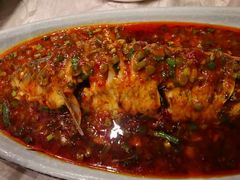 家常豆瓣鱼-蒲氏烤鸭(百寿路店)