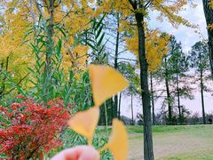 -美兰湖景区