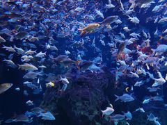 -成都浩海立方海洋公园