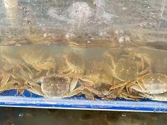 -阳澄湖大闸蟹·琼灵阁牌品牌连锁(吴中总店)