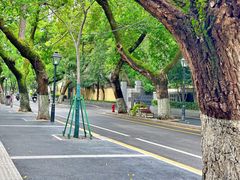 -颐和路民国时期公馆风貌区