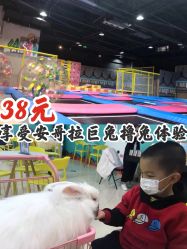 点击看大图 -萌兔星空蹦床撸兔馆