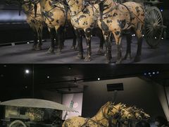 -秦始皇帝陵博物院(兵马俑)
