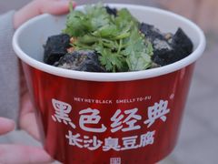 -黑色经典臭豆腐·湖南特产(坡子街店)