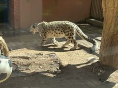 -青藏高原野生动物园