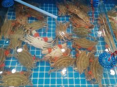 -隐厨·海鲜餐厅(恒通路店)