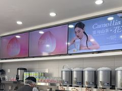 -雾与山茶(大禹城店)