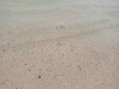 -白沙滩