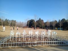 -北京西山国家森林公园