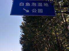 -白渔泡湿地公园