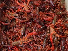 小龙虾-青石桥市场北1-27号