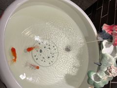 -董家湾重庆老火锅(嘉华店)