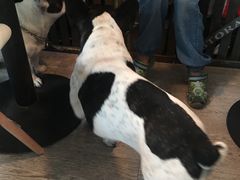-小时光咖啡馆(北锣鼓巷店)
