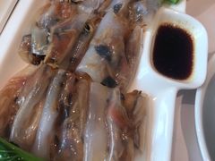 -粤式早茶希朋喜宴