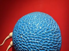 -佛山科学馆