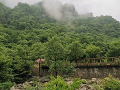 -青峰峡国家森林公园