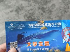 -烟台海昌鲸鲨海洋公园