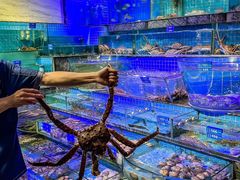 -青蓬海上捞蒸品海鲜城(海岸城店)