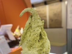 -野人先生现做冰淇淋(北京王府井东方新天地店)