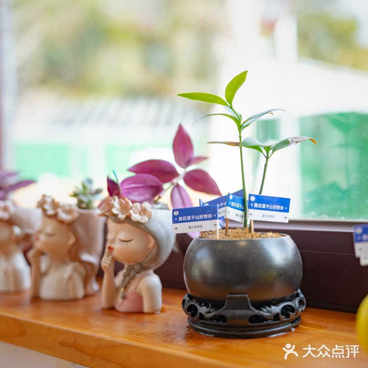 在莫干山居然遇到了芋泥脑袋？这不得进来尝尝