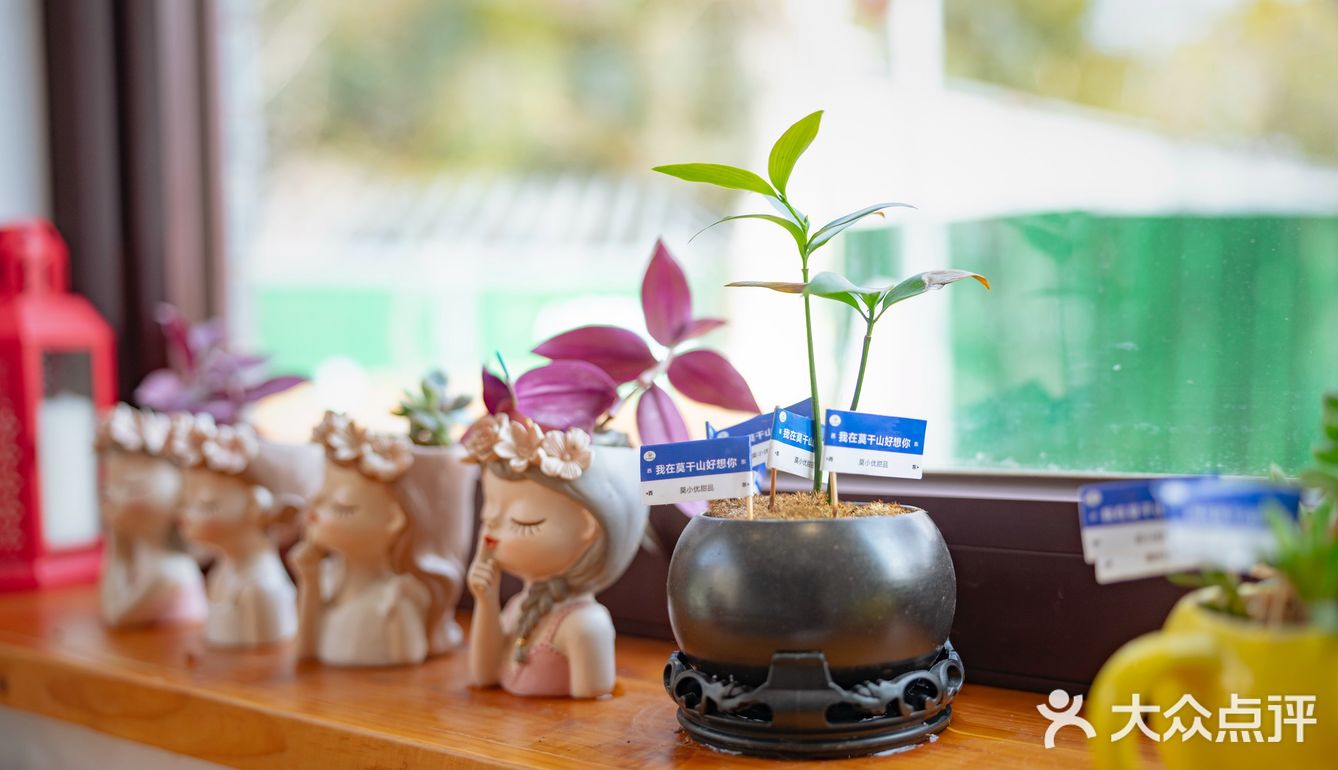 在莫干山居然遇到了芋泥脑袋？这不得进来尝尝