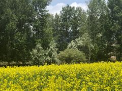 -千姿湖生态旅游景区