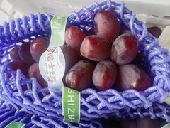 -马陆小张葡萄园农家乐