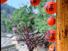 -杨家堂村