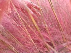 -艾溪湖湿地公园