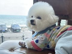 -蟹之国·精品蟹料理(极地店)