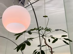 -大树餐厅(环球港店)