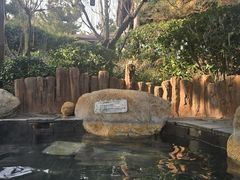 -威海天沐度假区温泉