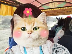 -水洞沟旅游区