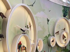 -陕西自然博物馆