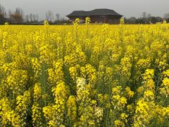 -中国天府农业博览园