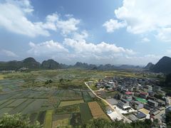 -会仙湿地