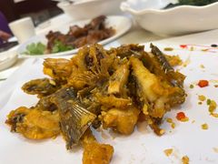 -有腥气私房菜·寻味顺德