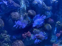 -左海海底世界