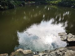 -云溪植物园
