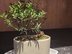 -竹里馆 ·茶食(奥体店)