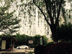 -西北湖绿化广场