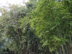 -晓港公园