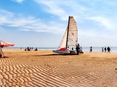 -日照海滨国家森林公园