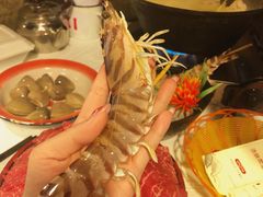 -鲜入围煮花胶鸡海鲜火锅