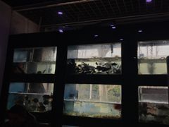 -全乐鱼馆·淳牌有机鱼直营店