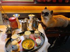 -杂咖zacup(领展中心城店)