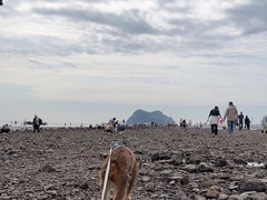 -锦州笔架山风景区
