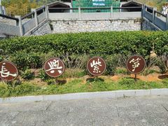 -大唐贡茶院