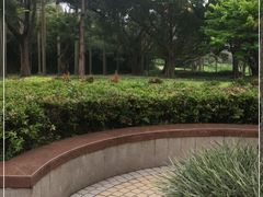 -云溪植物园