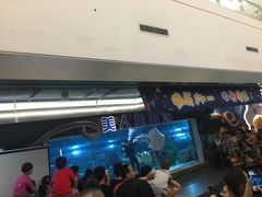 美人鱼剧场喂食表演-绍兴梦享海洋公园